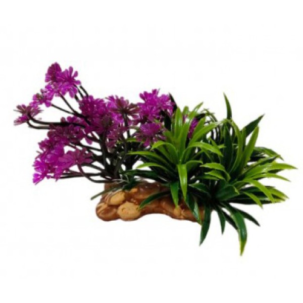 ΔΙΑΚΟΣΜΗΤΙΚΟ ΦΥΤΟ ΕΝΥΔΡΕΙΟΥ 9Χ10CM